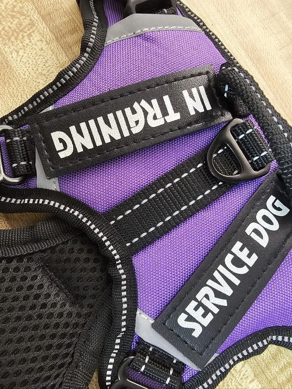 RAD NEW Purple Service Dog Vest Harness XS Puppy Toy Breed Retro Cute Adjustable